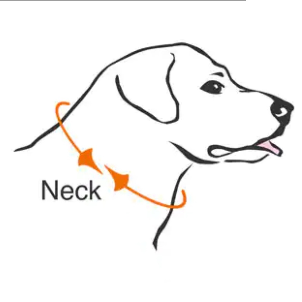 KONG Cloud Collar (Lge) - Picture 12 of 12